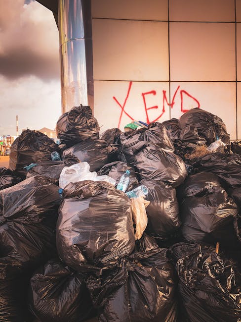 Same day rubbish removal delays what to know in Fulham